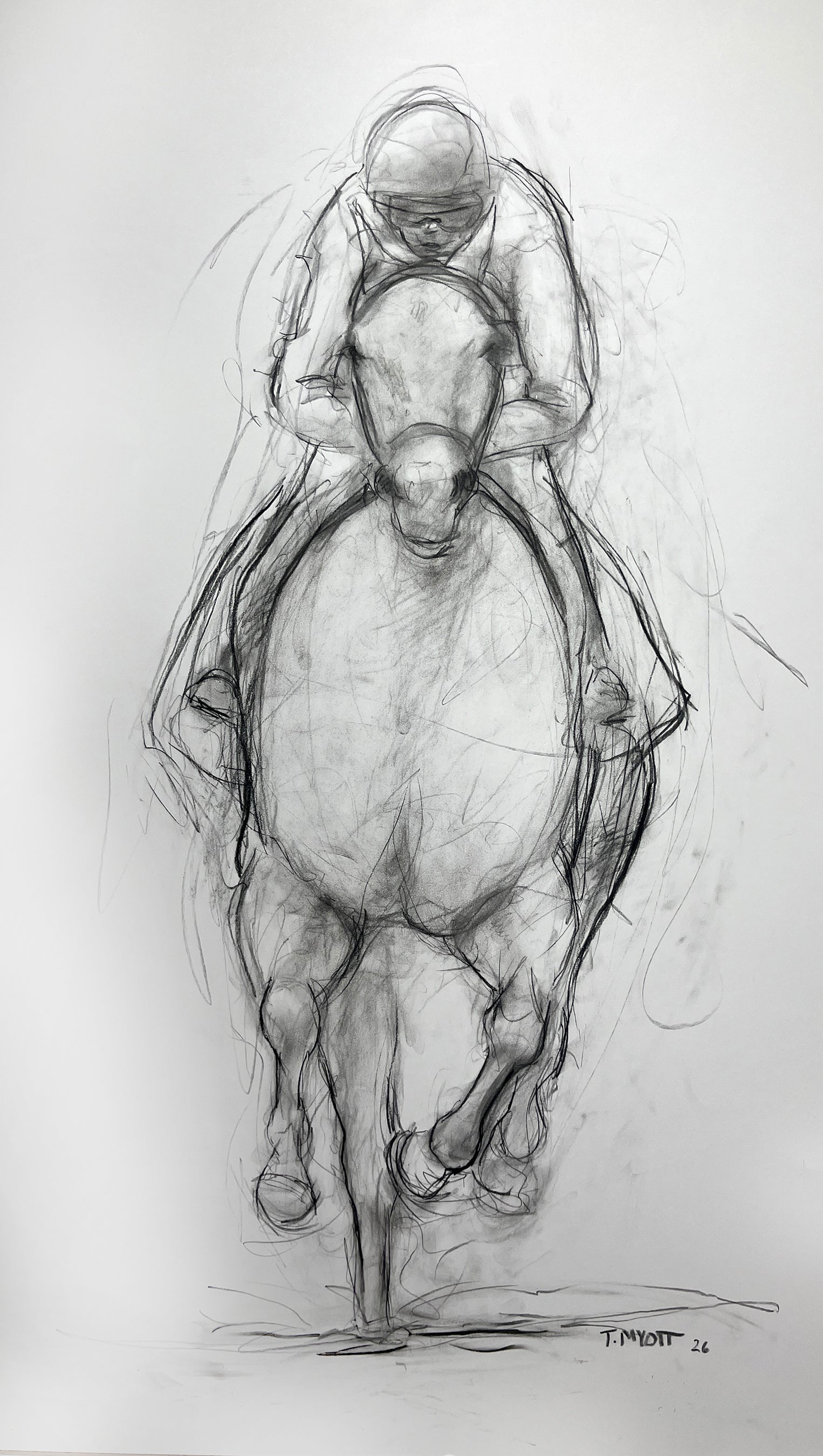 Thoroughbred Drawing 3